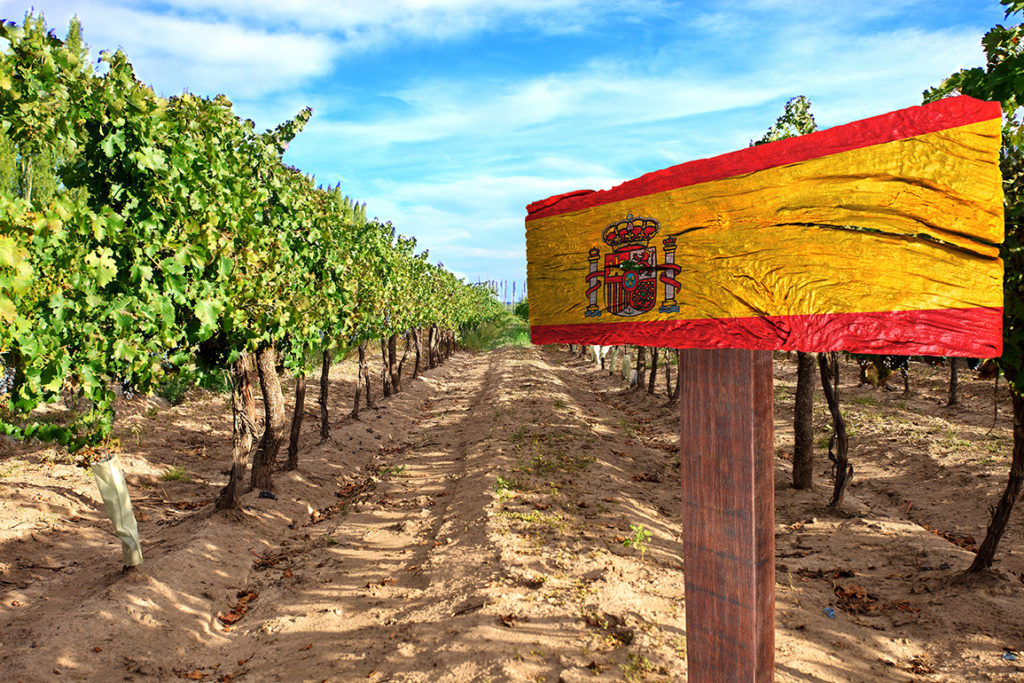 The Fruity, Flavorful Wines of Spanish Wine