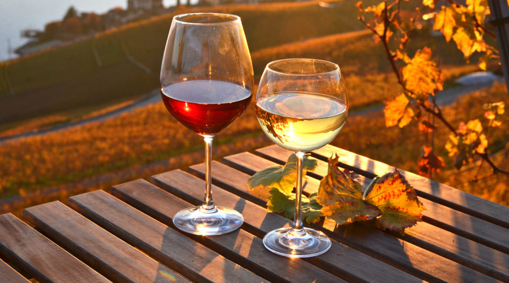 Ease into Autumn with Classic Wines