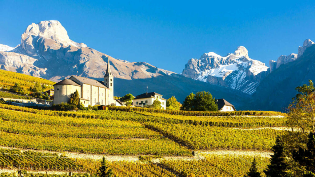 Try Wine from the Rhône Valley in France