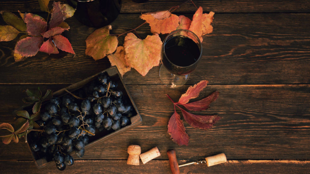 Best Wines to Sip in the Fall